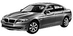 BMW F10 P20D2 Fault Code